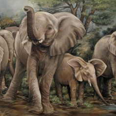 elephant oil on canvas(Idwala lodge) 1m x 1.5m